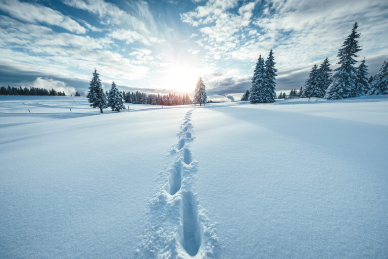 trail in snow, symbolic of a path that breadcrumbs can carve out for visitors on a website