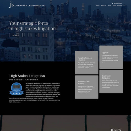 Jonathan Lee Borsuk PC Site Preview